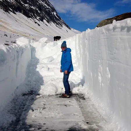 维德塞特酒店 3* 耶勒