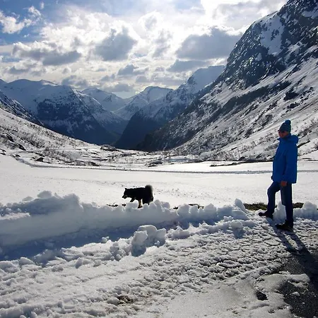 维德塞特酒店 酒店