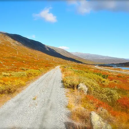 酒店 维德塞特酒店 3*