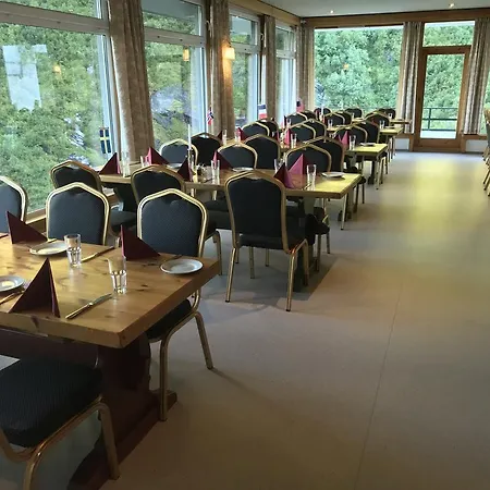 酒店 维德塞特酒店 3*